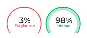 Plagiarism Checker Icon